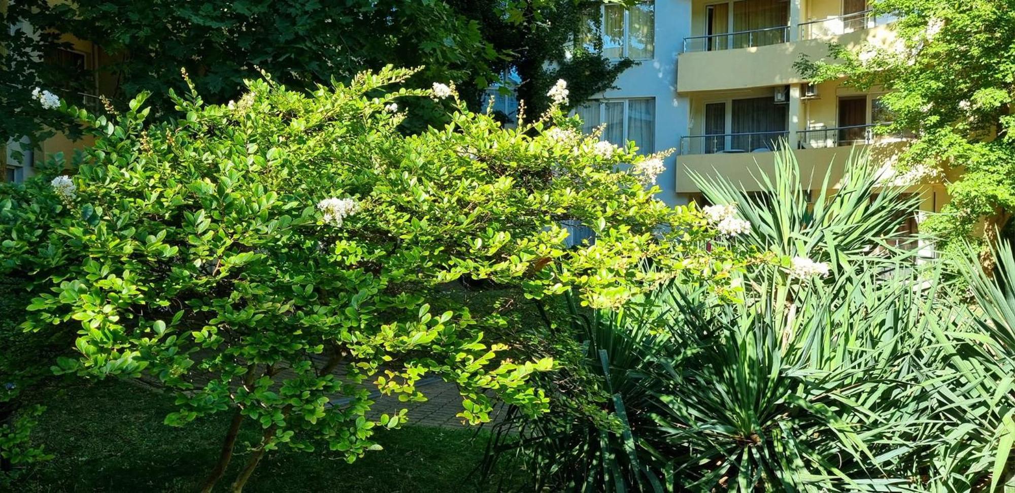 Yassen VIP Apartaments Slantschew brjag Exterior foto