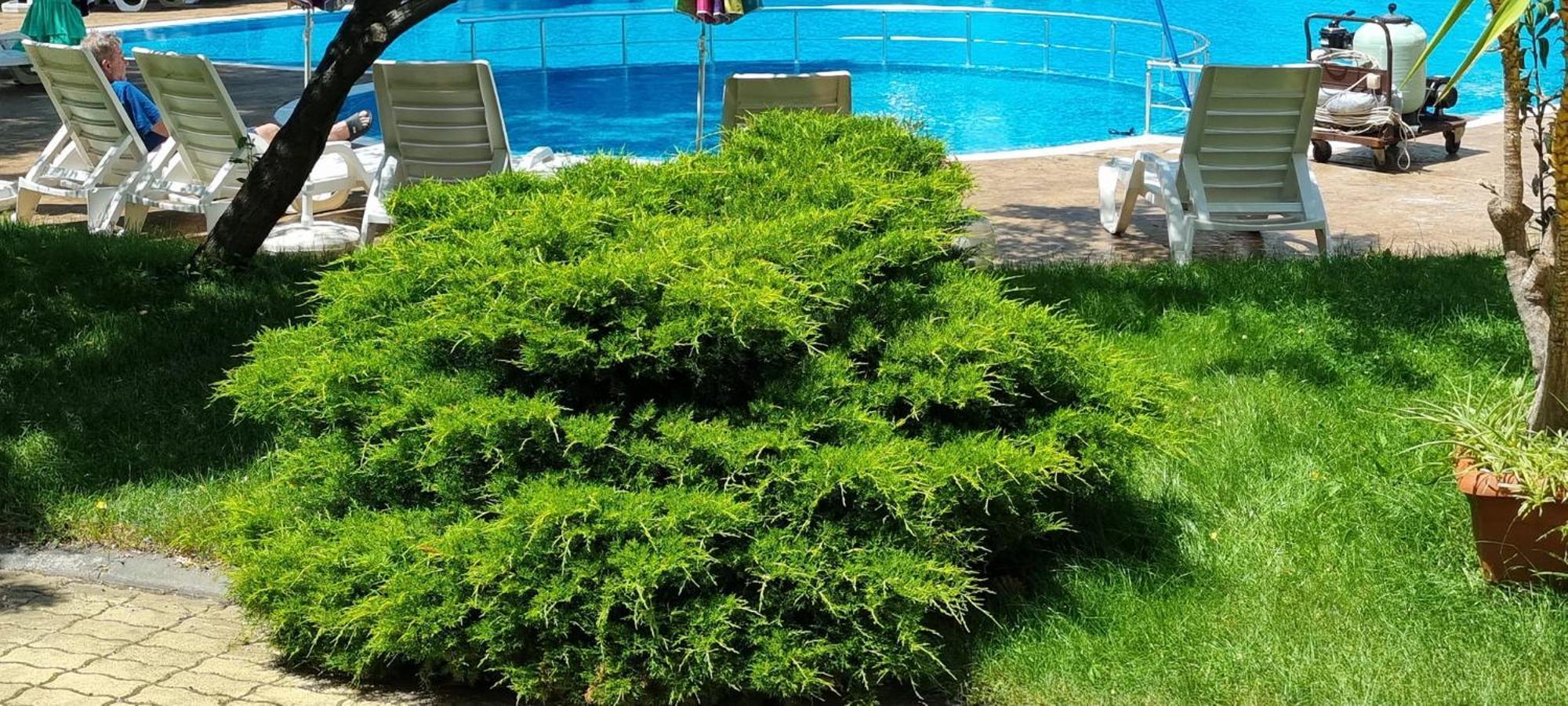 Yassen VIP Apartaments Slantschew brjag Exterior foto